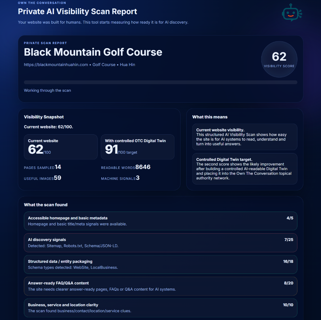 AI Visibility Scan — Black Mountain Report Preview