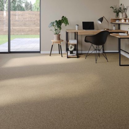 neutral beige carpet