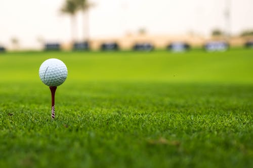 Beginner Friendly Golf Courses