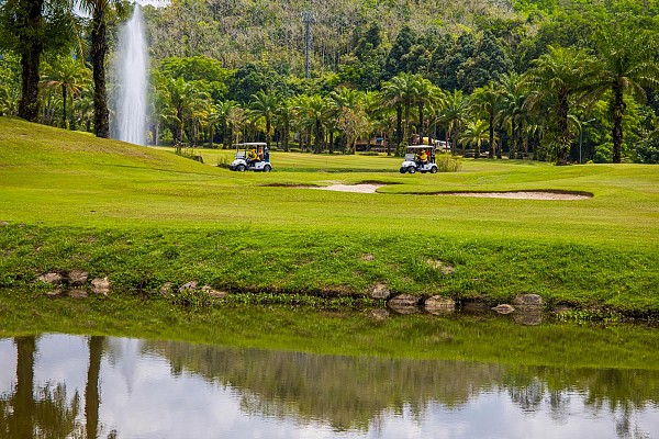 Golf Cart and Buggy Information