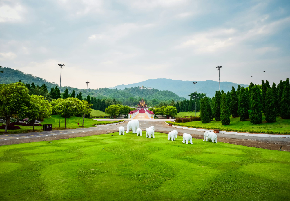 Golf History and Culture