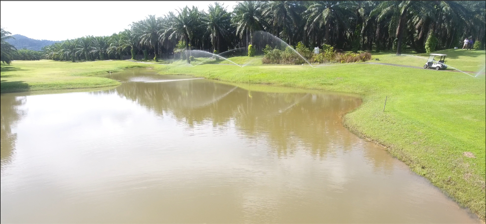 Eco-Friendly Golf