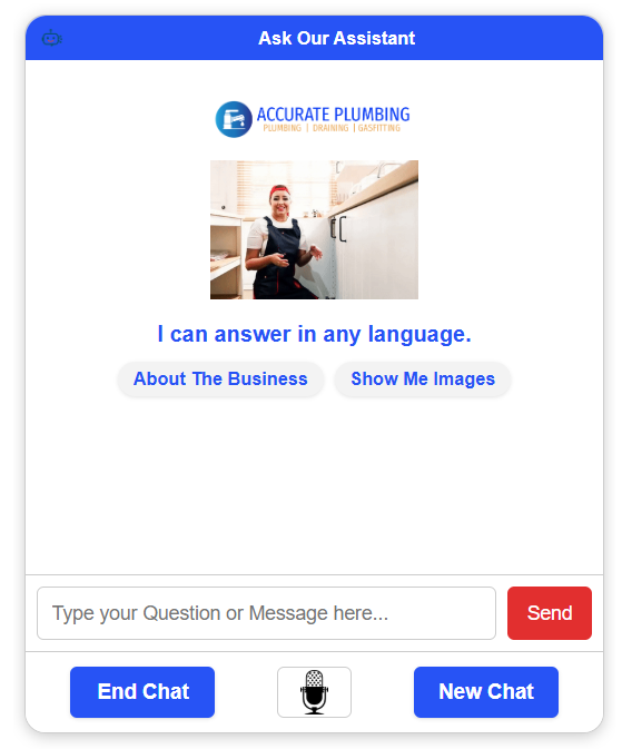 Accurate Plumbing AI — Local Service Assistant Example