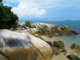 Rocky beach area with clear sea and partial vegetation