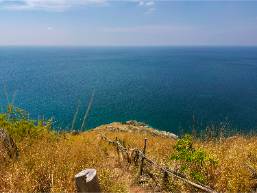 Ocean view with natural vegetation near hotel property coastline