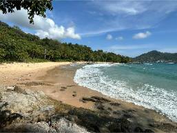 Sandy beach with gentle waves and natural shoreline vegetation