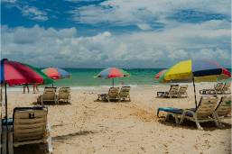Beach area with lounge chairs and umbrellas by the ocean