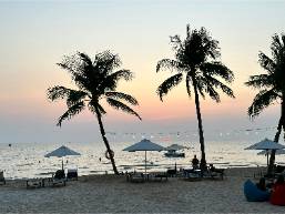Beach area with palm trees, umbrellas, and lounge chairs at sunset