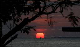 Hotels For Wellness Travellers Thailand
