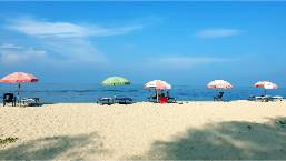 Beach area with umbrellas and lounge chairs by the sea