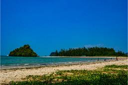 Beach area with sand, water, and green vegetation near hotel