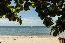 View of a sandy beach with ocean water and tree leaves overhead