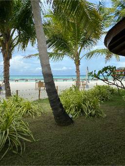 View of a sandy beach and ocean from resort garden area