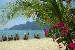 Beach area with boats docked near the shore and tropical vegetation
