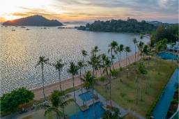 Beachfront view with palm trees and coastline at sunset