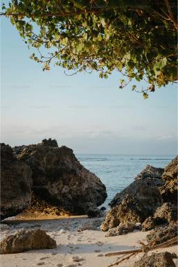 Sandy beach with rocky outcrops and tree branches overhead
