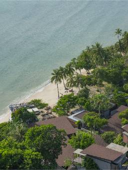 Aerial view of beachfront hotel with sandy shore and palm trees
