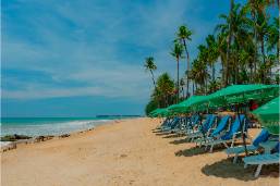 Sandy beach with lounge chairs and umbrellas near palm trees