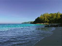 Beach area with clear water and tree-lined shore at hotel