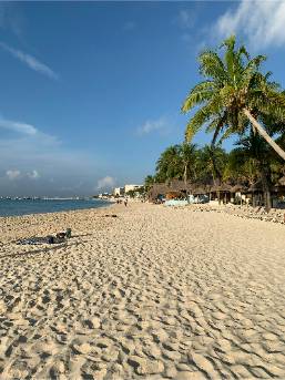 Sandy beach with palm trees and resort buildings in the background