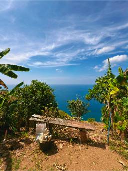 View of ocean and sky from garden area at a hotel