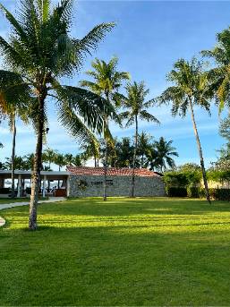 Outdoor garden area with palm trees and lawn near the hotel