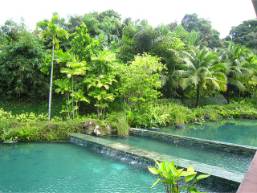 Pool area surrounded by lush tropical garden vegetation
