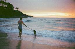 Person walking dog along the beach at sunset