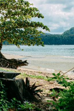 Calm beach area with water and greenery at hotel location