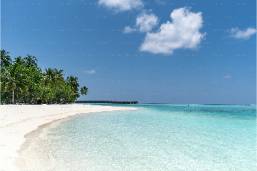 Clear blue water with sandy beach and palm trees under blue sky