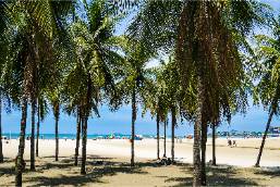 Hotels Near Snorkelling Thailand