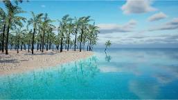 Beachfront view with palm trees and calm ocean water