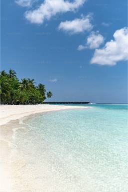 Phuket Hotels