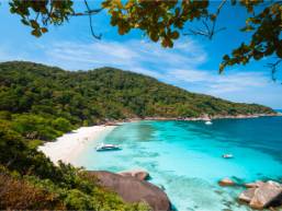 Beach area with clear water and surrounding greenery at resort