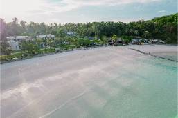 Wide sandy beach area next to a hotel property with palm trees