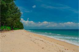 Sandy beach with ocean waves and trees alongside the shore