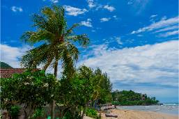 Beach area with palm trees and shoreline near hotel property