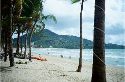 Sandy beach with palm trees and mountain view by the ocean