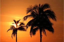 Hotels With Beach Clubs Thailand