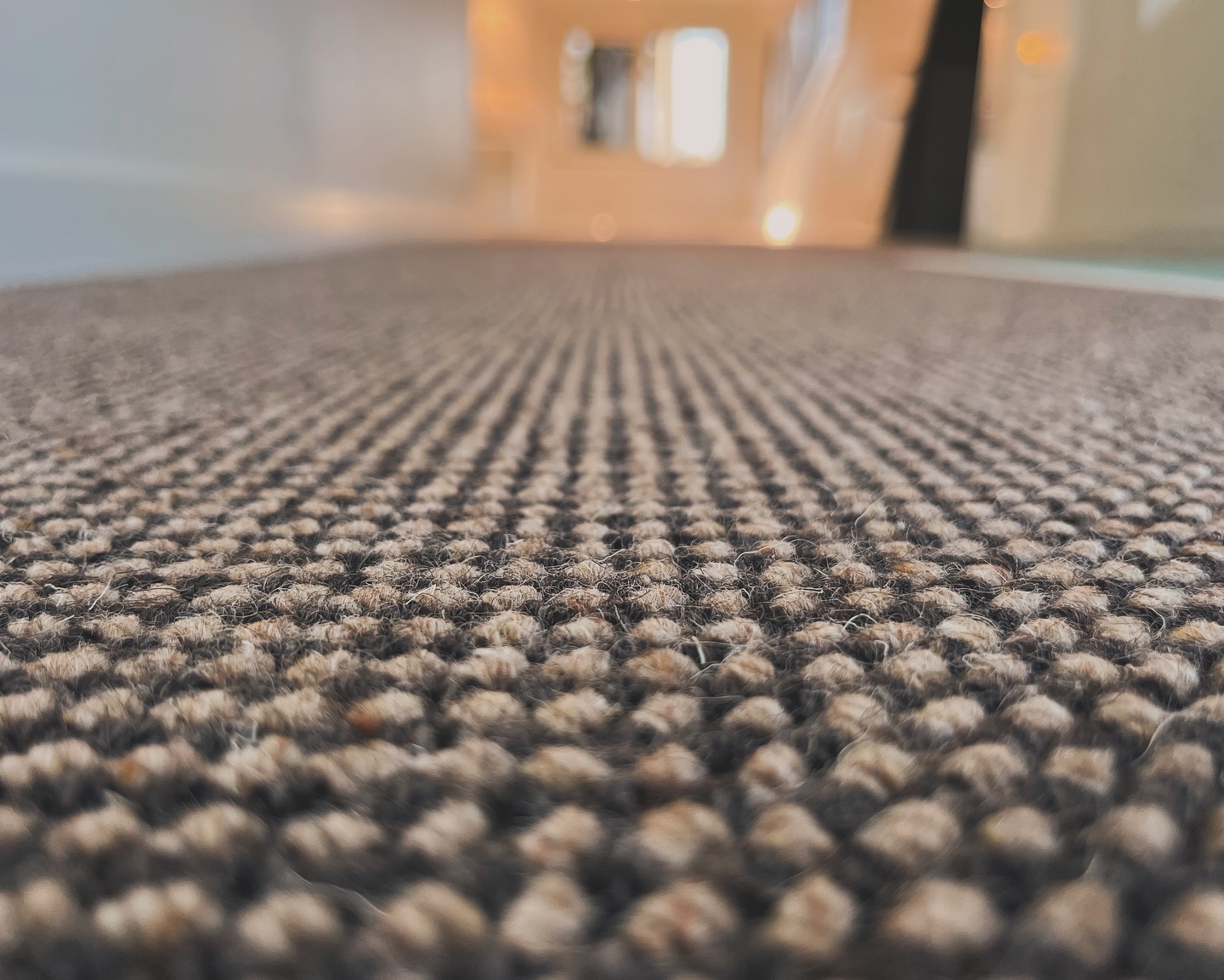 Living Room Carpet – Wool Carpet – Sutherland Shire