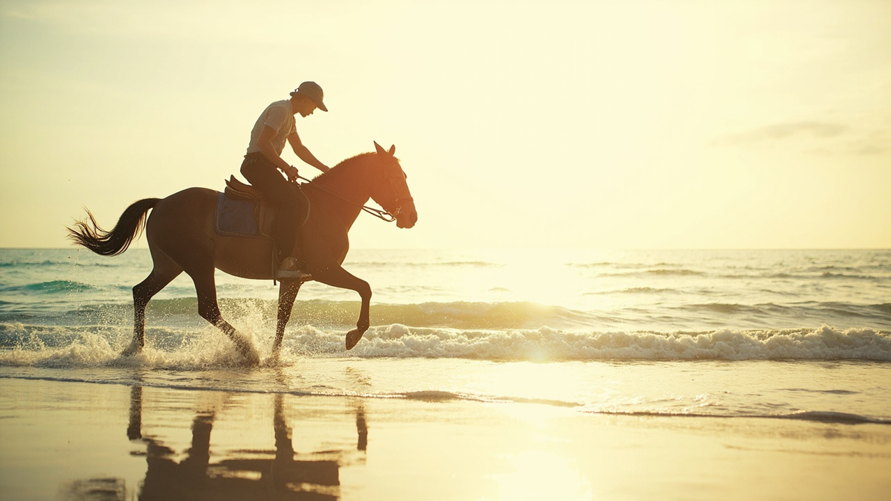 Horseback Riding