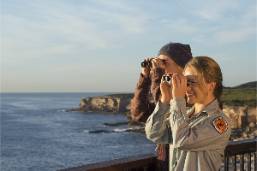Best Viewing Spots