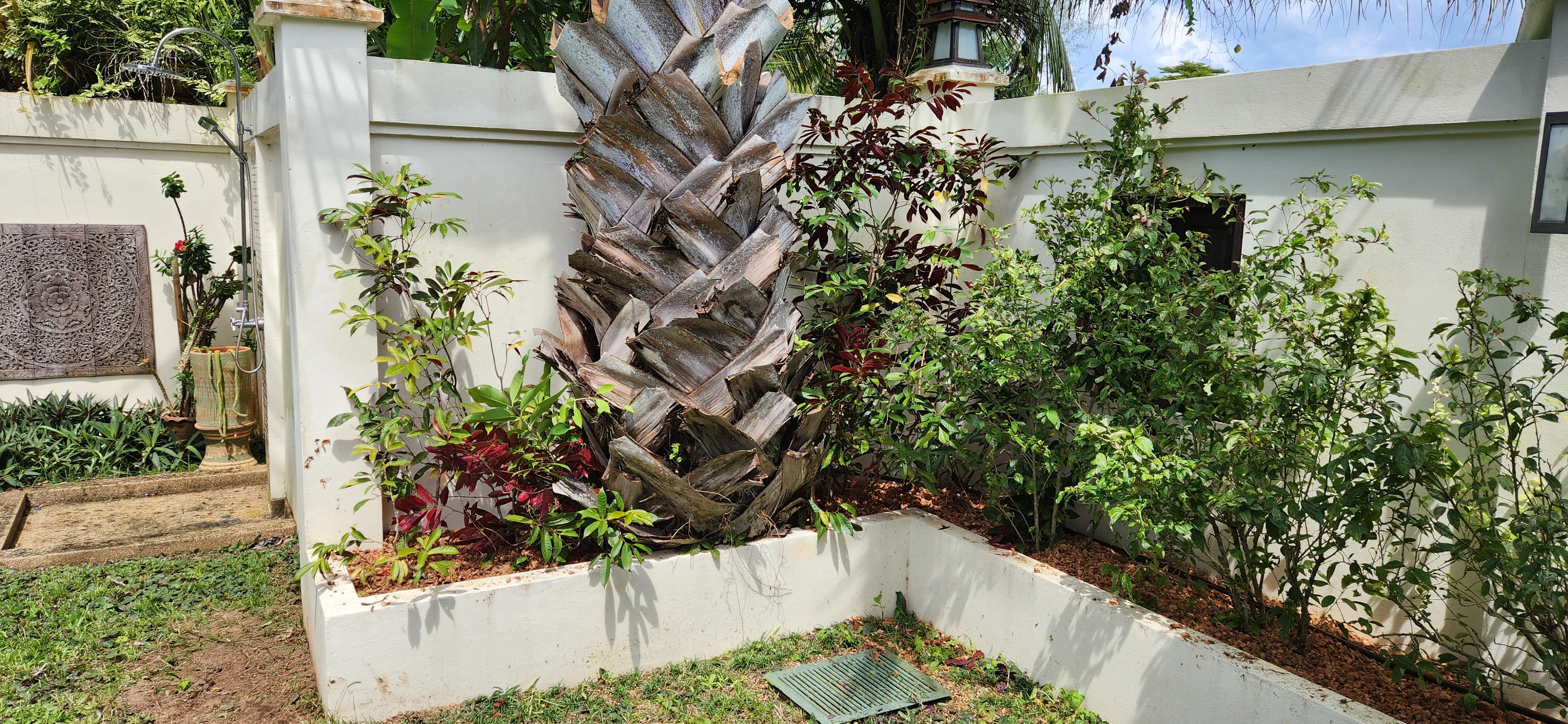 Thai Life Beach House Tropical Planter