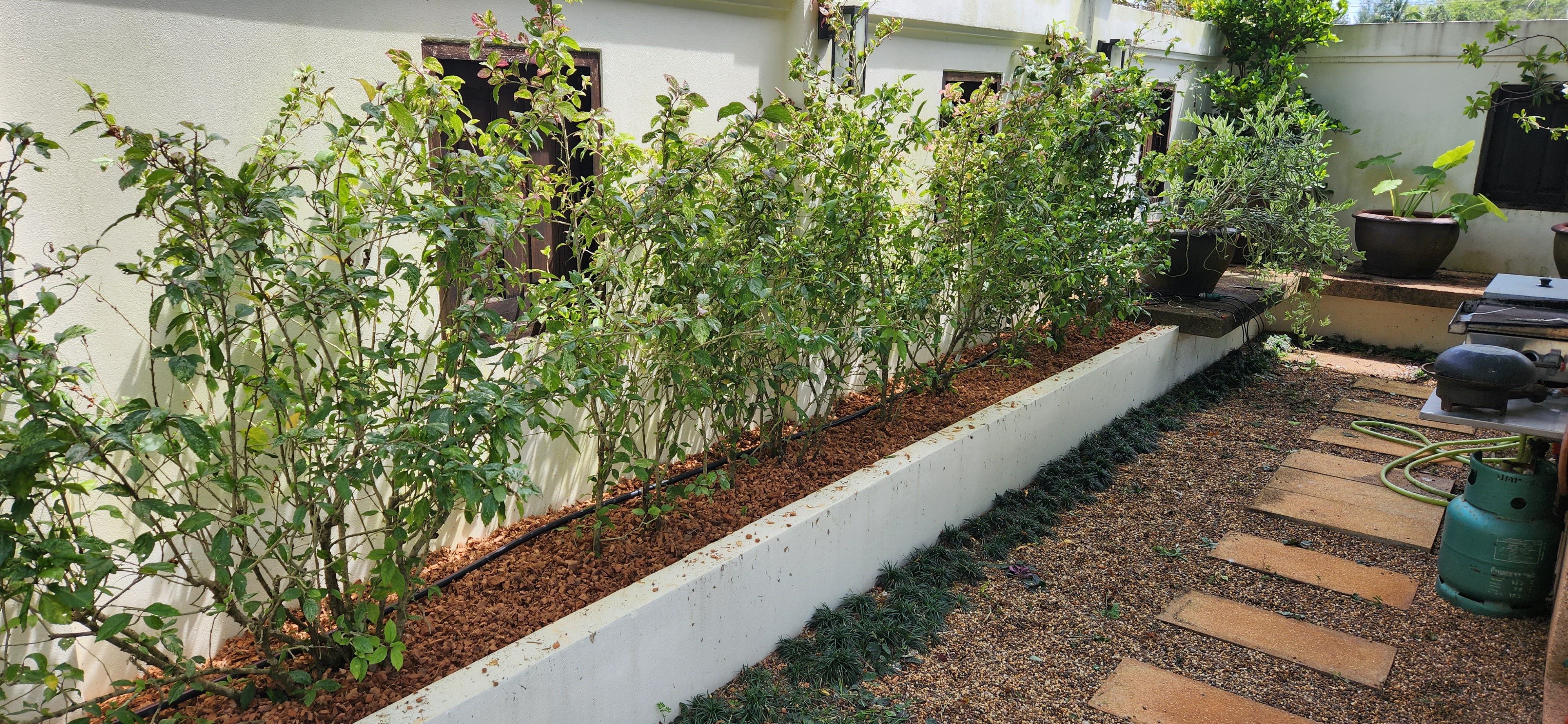 Thai Life Beach House Garden Walkway