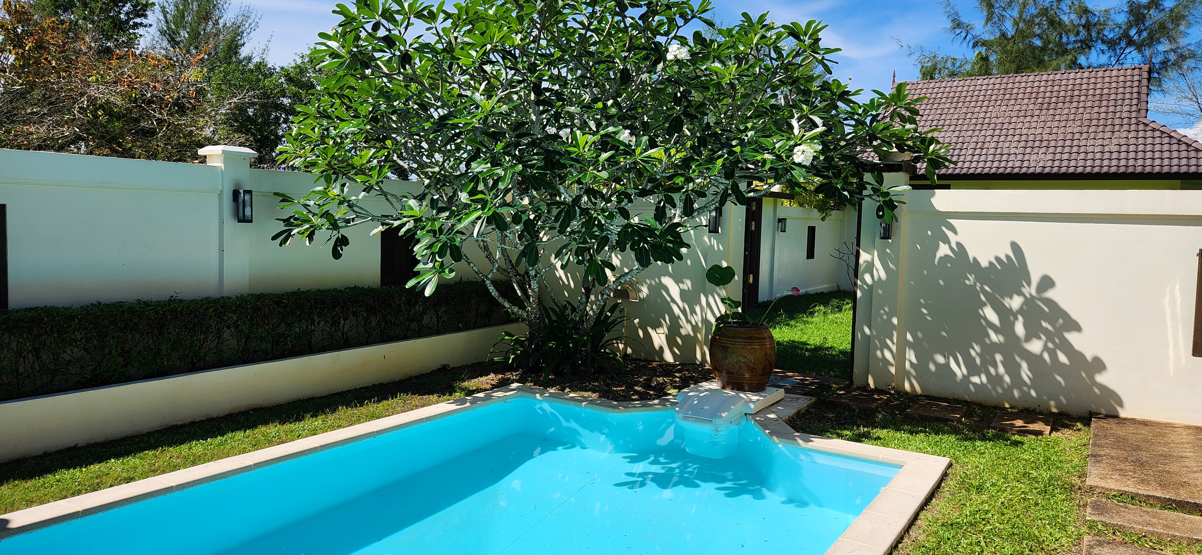 Thai Life Beach House Pool & Shade Tree