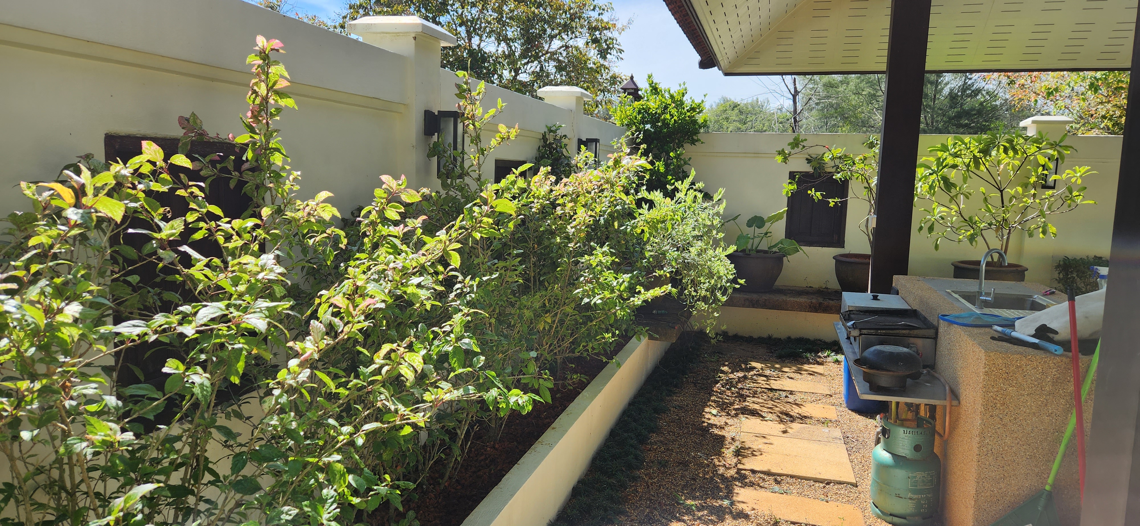 Thai Life Beach House Planted Walkway