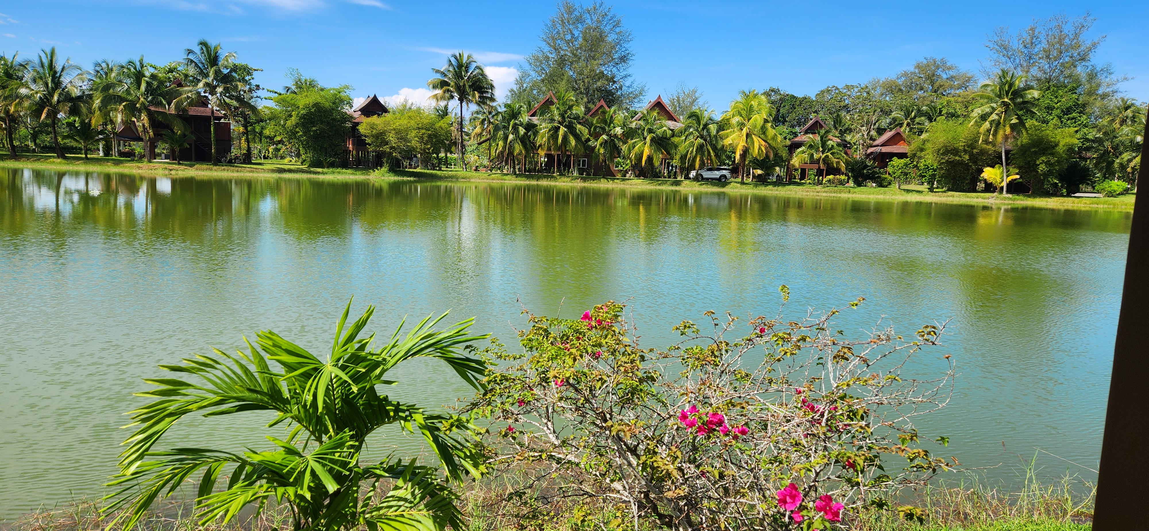Thai Life Beach House Pond & Garden