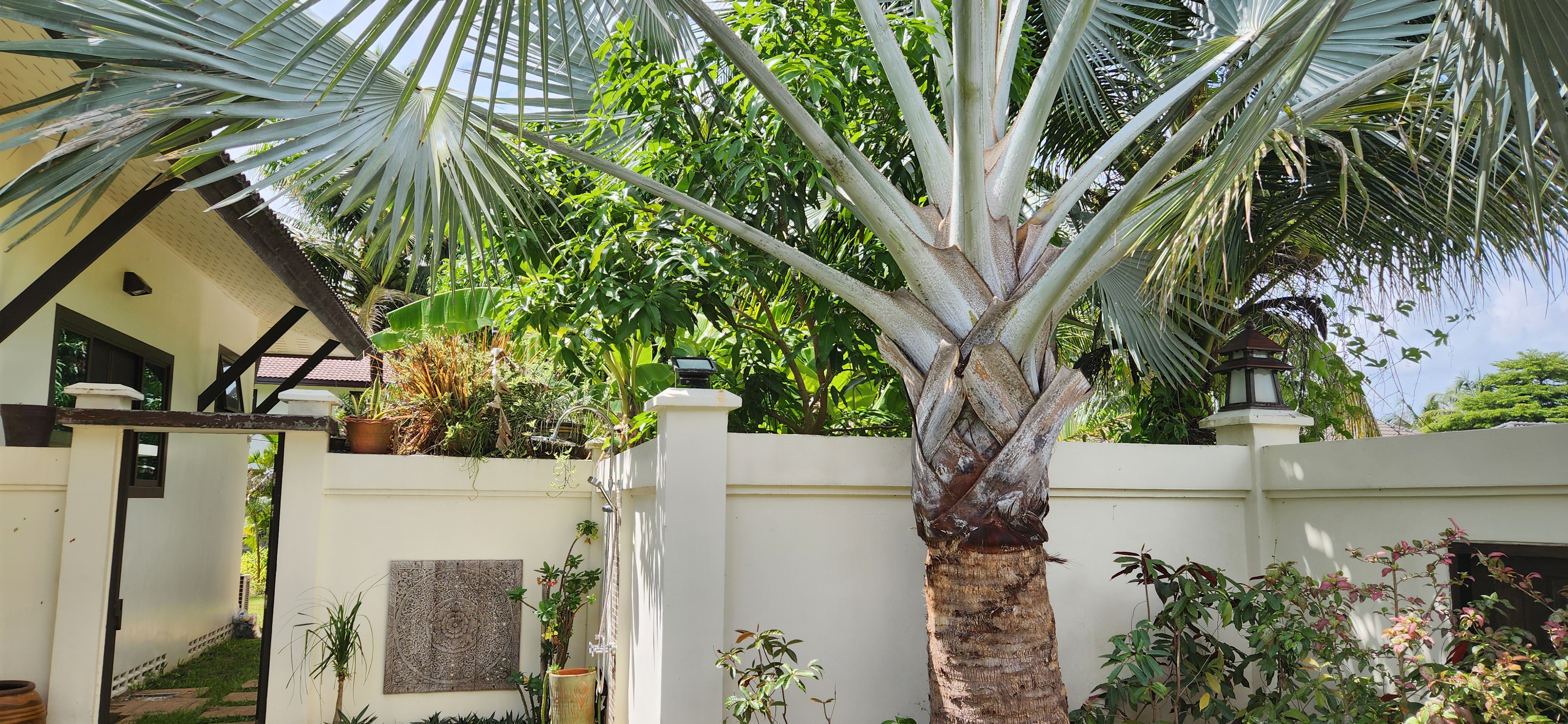 Thai Life Beach House Garden Path & Pool Area