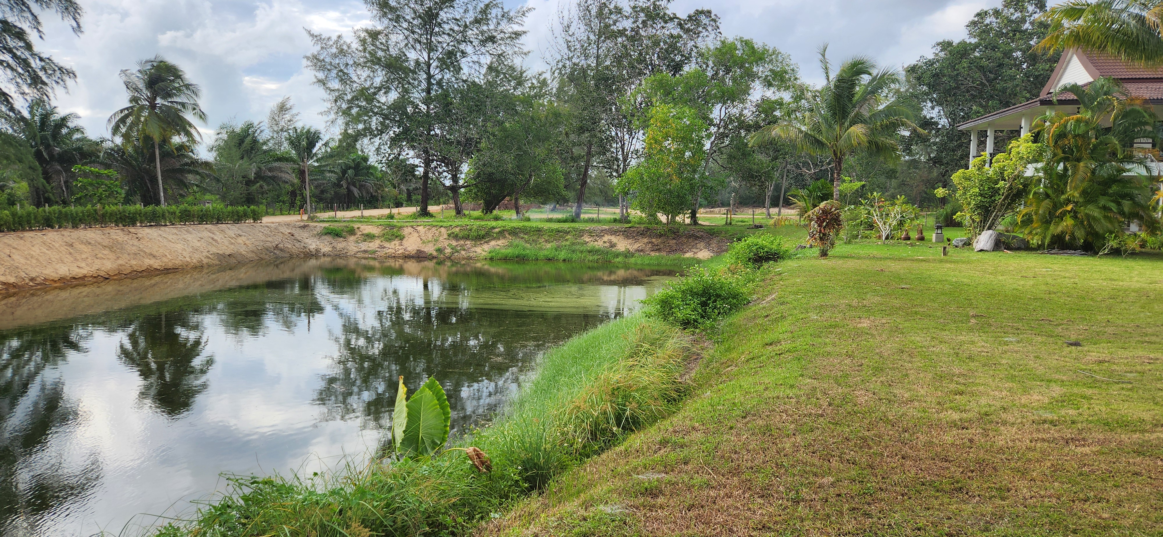 Thai Life Beach House Pond & Grassy Bank