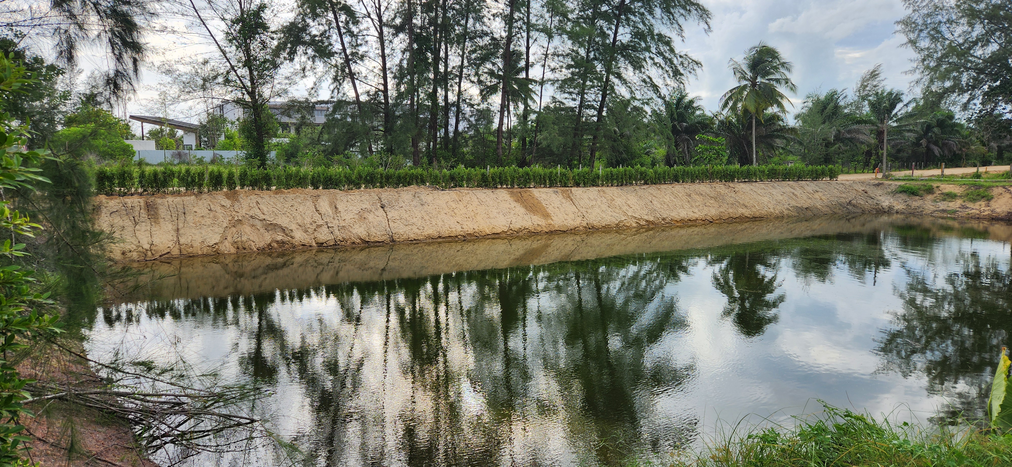 Thai Life Beach House Pond & Reflections